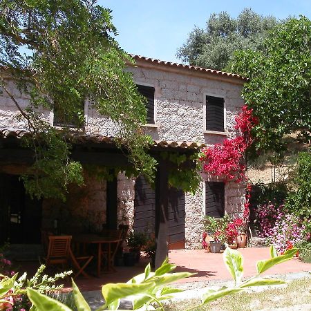 Maison D'Hotes De Charme De Croccano ซาร์แตน ภายนอก รูปภาพ