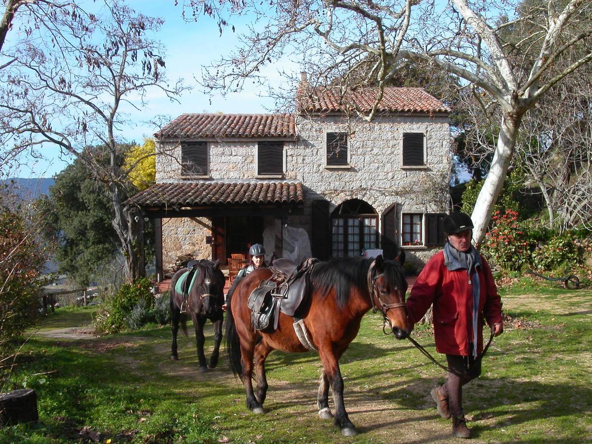 Maison D'Hotes De Charme De Croccano ซาร์แตน ภายนอก รูปภาพ