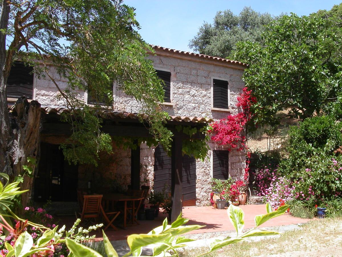 Maison D'Hotes De Charme De Croccano ซาร์แตน ภายนอก รูปภาพ